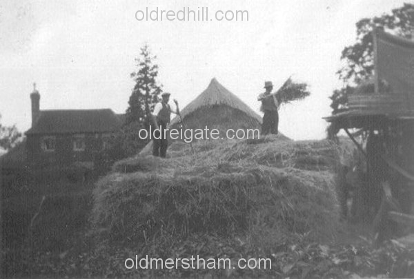 Image number 1143&prevurl=cormongerslane