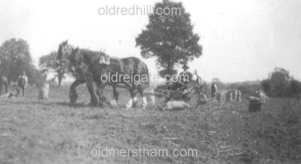 Image number 1144&prevurl=cormongerslane