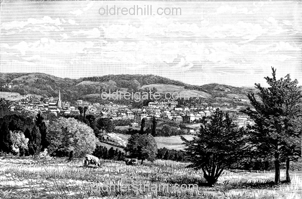 Image number 1341&prevurl=dorking