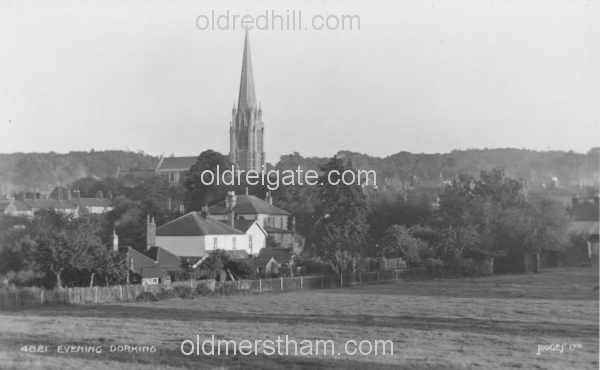Image number 1344&prevurl=dorking