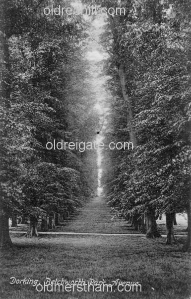 Image number 1346&prevurl=dorking