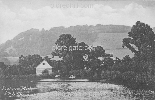 Image number 1347&prevurl=dorking