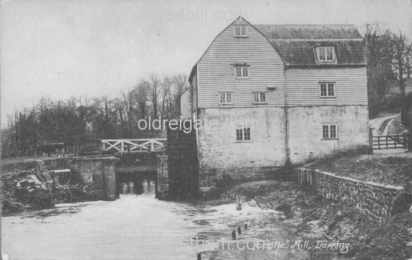 Image number 1348&prevurl=dorking