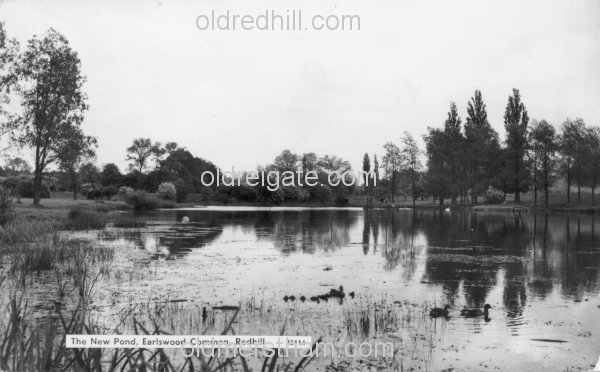 Image number 1488&prevurl=year1966