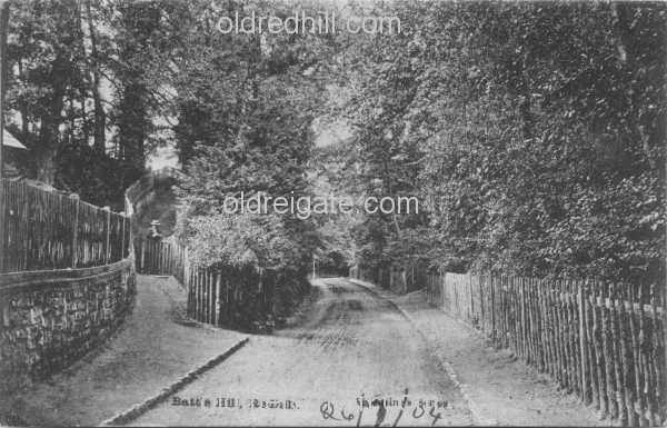 Image number 171&prevurl=year1904