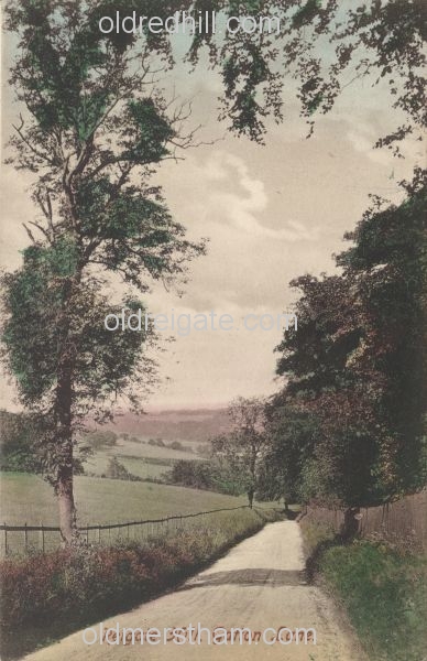 Image number 1829&prevurl=gattonbottom