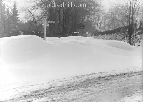 Image number 1830&prevurl=gattonbottom