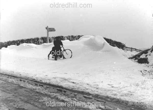 Image number 1831&prevurl=gattonbottom