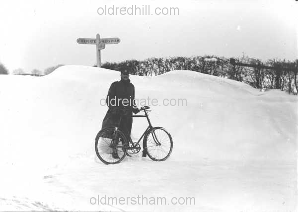 Image number 1832&prevurl=gattonbottom