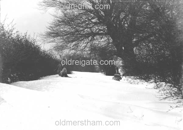 Image number 1833&prevurl=gattonbottom