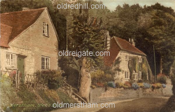 Image number 1835&prevurl=gattonbottom