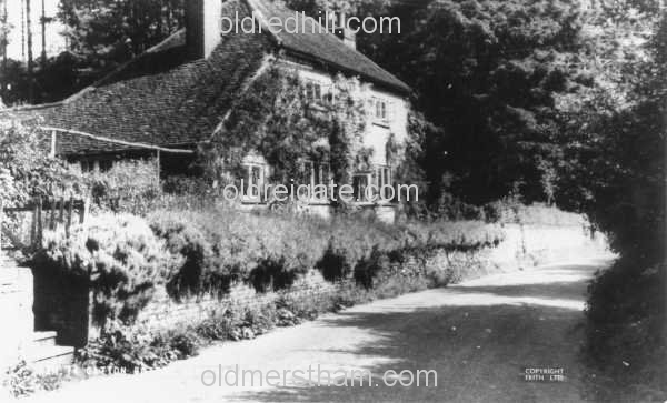 Image number 1836&prevurl=gattonbottom