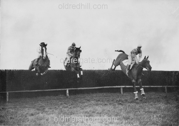 Image number 1914