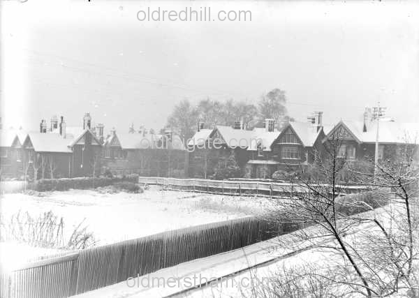 Image number 196&prevurl=year1917