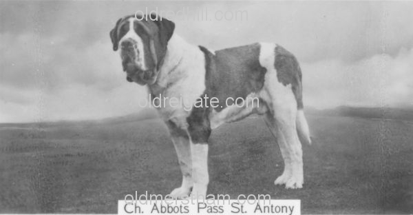 Image number 2&prevurl=year1937