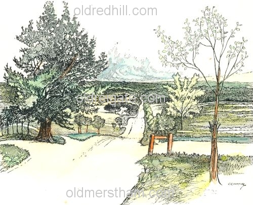 Image number 2561&prevurl=horleyroad