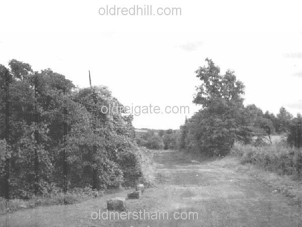 Image number 3063&prevurl=year1950