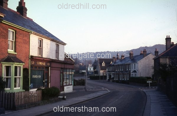 Image number 3340&prevurl=nutleylane