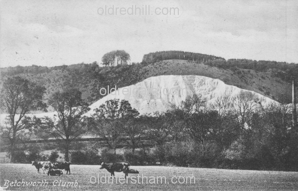 Image number 372&prevurl=year1900