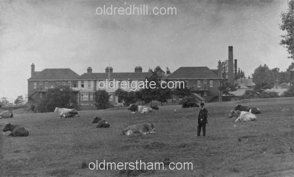 Image number 4&prevurl=abingerdrive