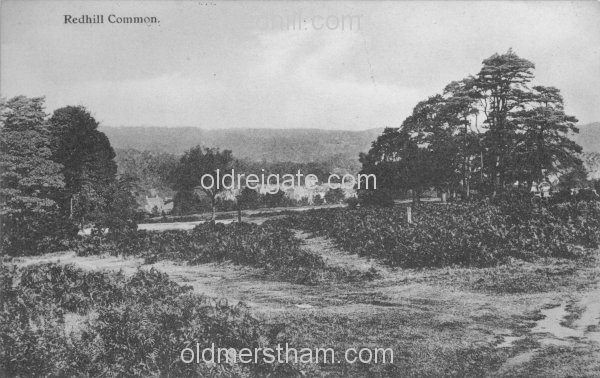 Image number 4004&prevurl=publishers65