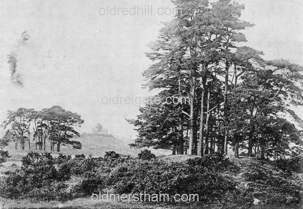 Image number 4301&prevurl=reigateheath4