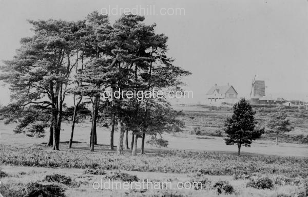 Image number 4302&prevurl=reigateheath4