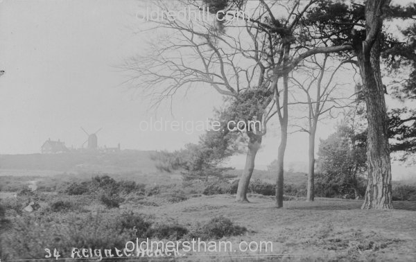 Image number 4304&prevurl=reigateheath4