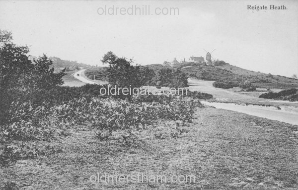 Image number 4323&prevurl=publishers65