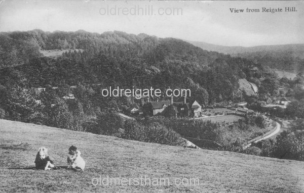 Image number 4454&prevurl=publishers65