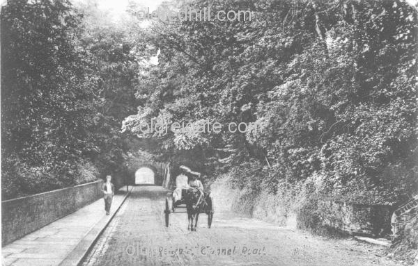 Image number 5594&prevurl=tunnelroad2