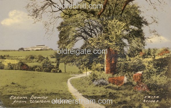 Image number 5690&prevurl=waltonheath