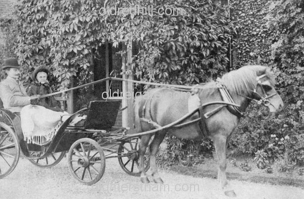 Image number 5848&prevurl=wiggielane