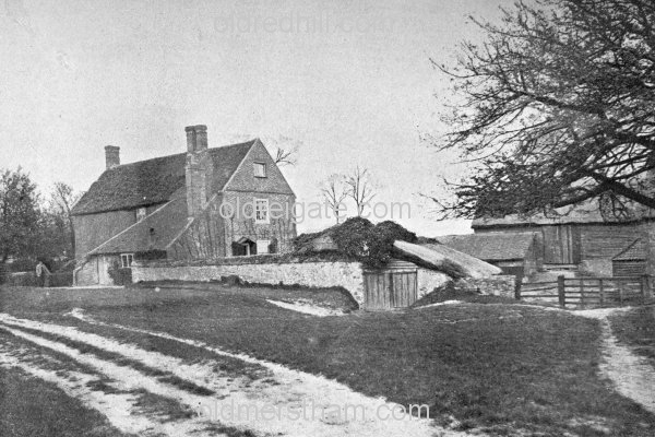 Image number 5849&prevurl=wiggielane