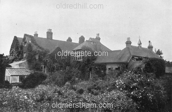 Image number 5850&prevurl=wiggielane