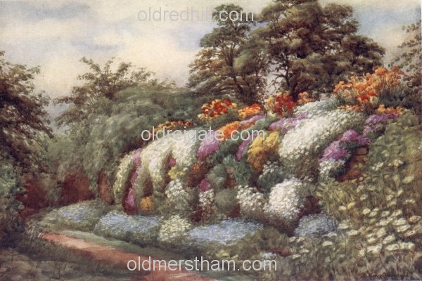 Image number 5851&prevurl=wiggielane