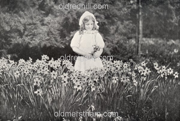 Image number 5852&prevurl=wiggielane