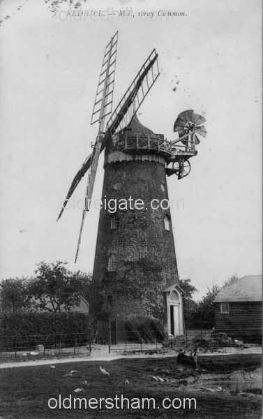 Image number 5890&prevurl=wraycommon