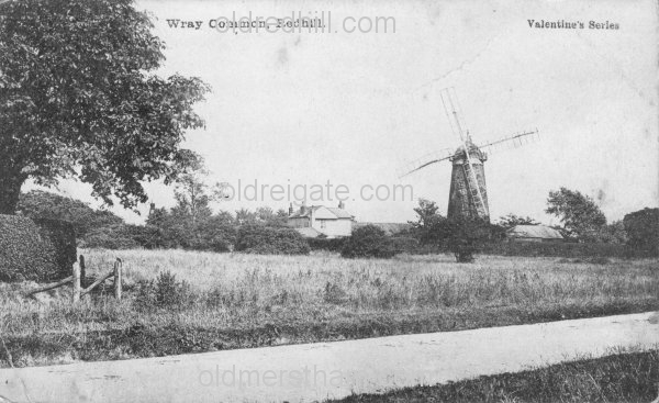 Image number 5895&prevurl=wraycommon