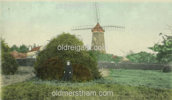 Image number 5899&prevurl=wraycommon