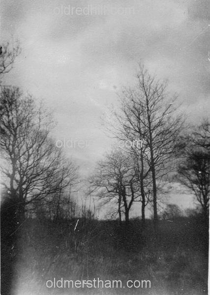 Image number 783&prevurl=year1911