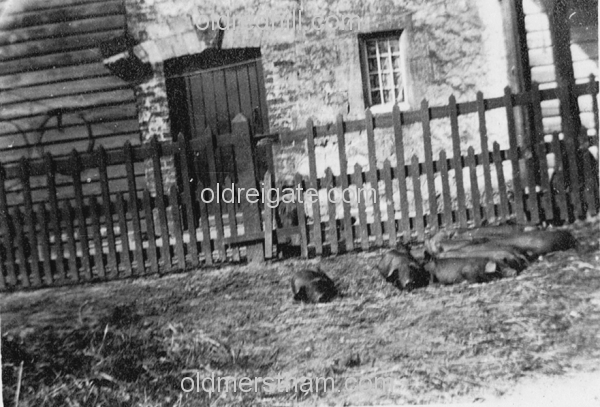 Image number 784&prevurl=year1911