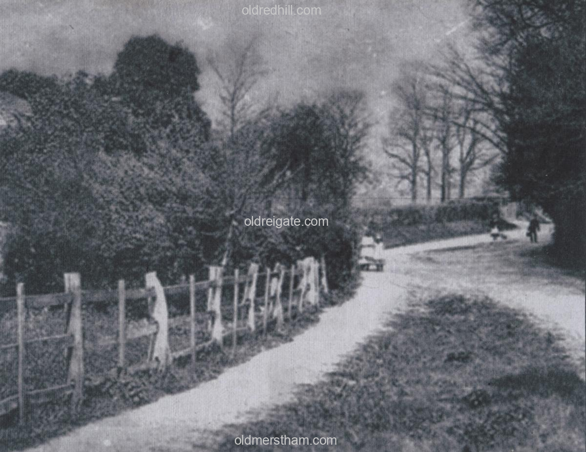 Image number 8387&prevurl=cockshotroad