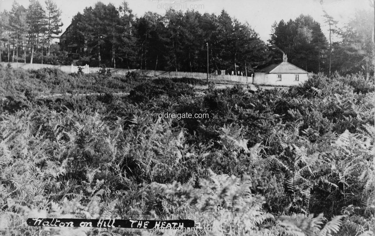 Image number 8465&prevurl=waltonheath