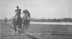 Image number 1905